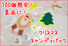 ���ꥹ�ޥ����ѡ��ƥ������ۻҡ�