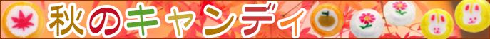 秋　お菓子　業務用。