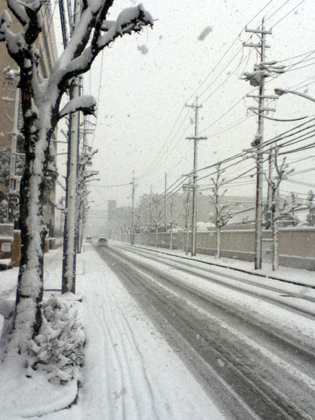 名古屋　雪　画像 2012年2月2日。