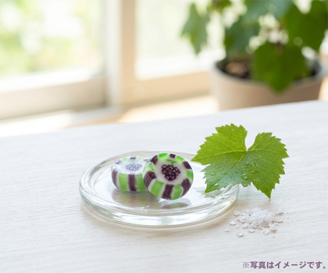 塩すいか飴　お菓子。