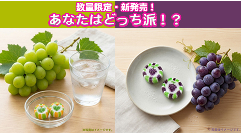 ぶどう系　塩飴