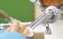 クリームパピオ。